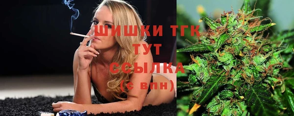 мет Бородино