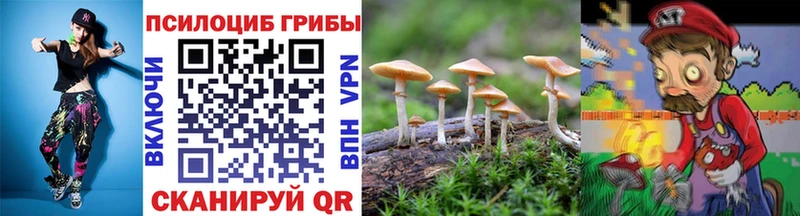 Псилоцибиновые грибы мицелий Юхнов